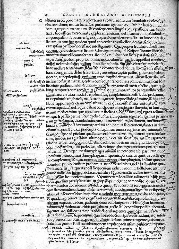 An illustration from Caelii Aureliani siccensis tardarum passionum libri V / Oribasii euporiston libri III, medicinae compendium liber I, curationum liber I, trochiscorum confect liber I, 1529, leaf 311