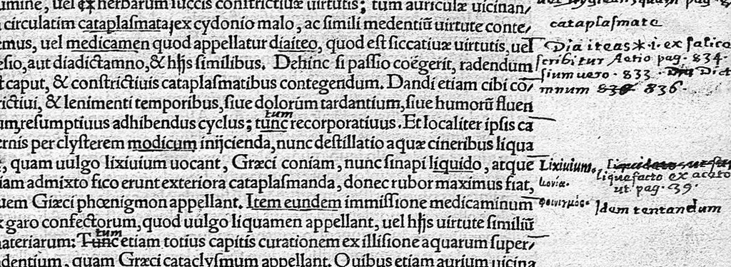 An illustration from Caelii Aureliani siccensis tardarum passionum libri V / Oribasii euporiston libri III, medicinae compendium liber I, curationum liber I, trochiscorum confect liber I, 1529, leaf 318
