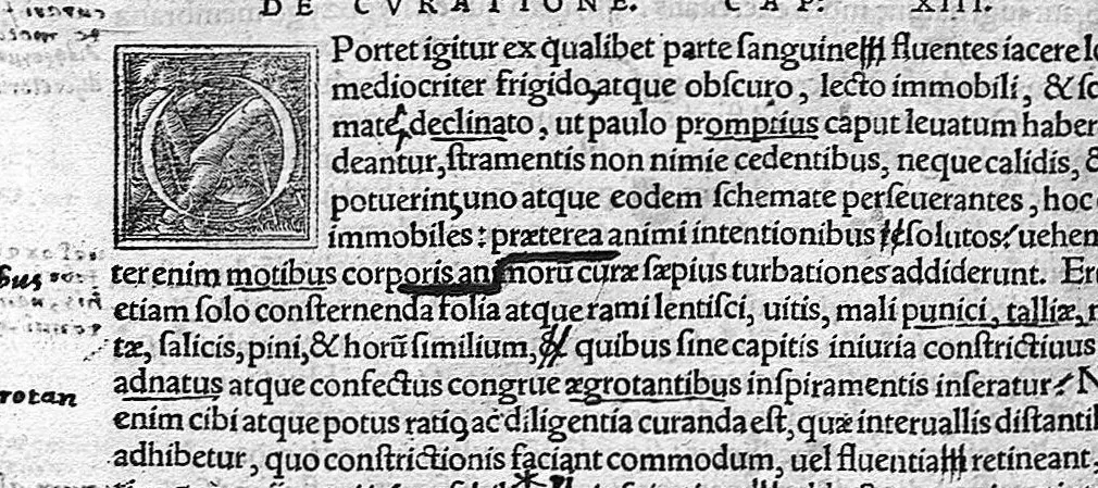 An illustration from Caelii Aureliani siccensis tardarum passionum libri V / Oribasii euporiston libri III, medicinae compendium liber I, curationum liber I, trochiscorum confect liber I, 1529, leaf 331