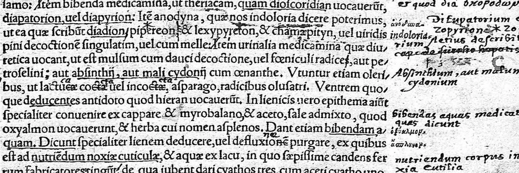 An illustration from Caelii Aureliani siccensis tardarum passionum libri V / Oribasii euporiston libri III, medicinae compendium liber I, curationum liber I, trochiscorum confect liber I, 1529, leaf 354
