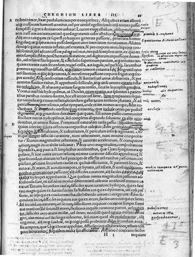 An illustration from Caelii Aureliani siccensis tardarum passionum libri V / Oribasii euporiston libri III, medicinae compendium liber I, curationum liber I, trochiscorum confect liber I, 1529, leaf 362