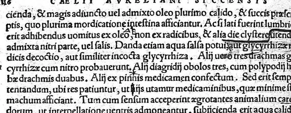 An illustration from Caelii Aureliani siccensis tardarum passionum libri V / Oribasii euporiston libri III, medicinae compendium liber I, curationum liber I, trochiscorum confect liber I, 1529, leaf 389