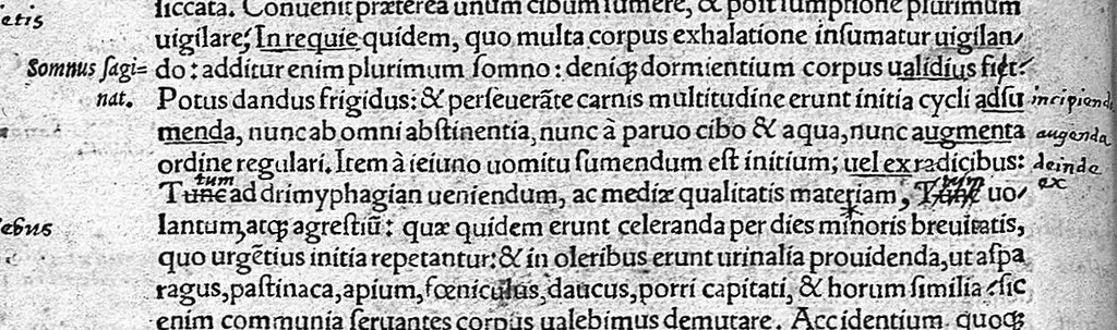 An illustration from Caelii Aureliani siccensis tardarum passionum libri V / Oribasii euporiston libri III, medicinae compendium liber I, curationum liber I, trochiscorum confect liber I, 1529, leaf 417
