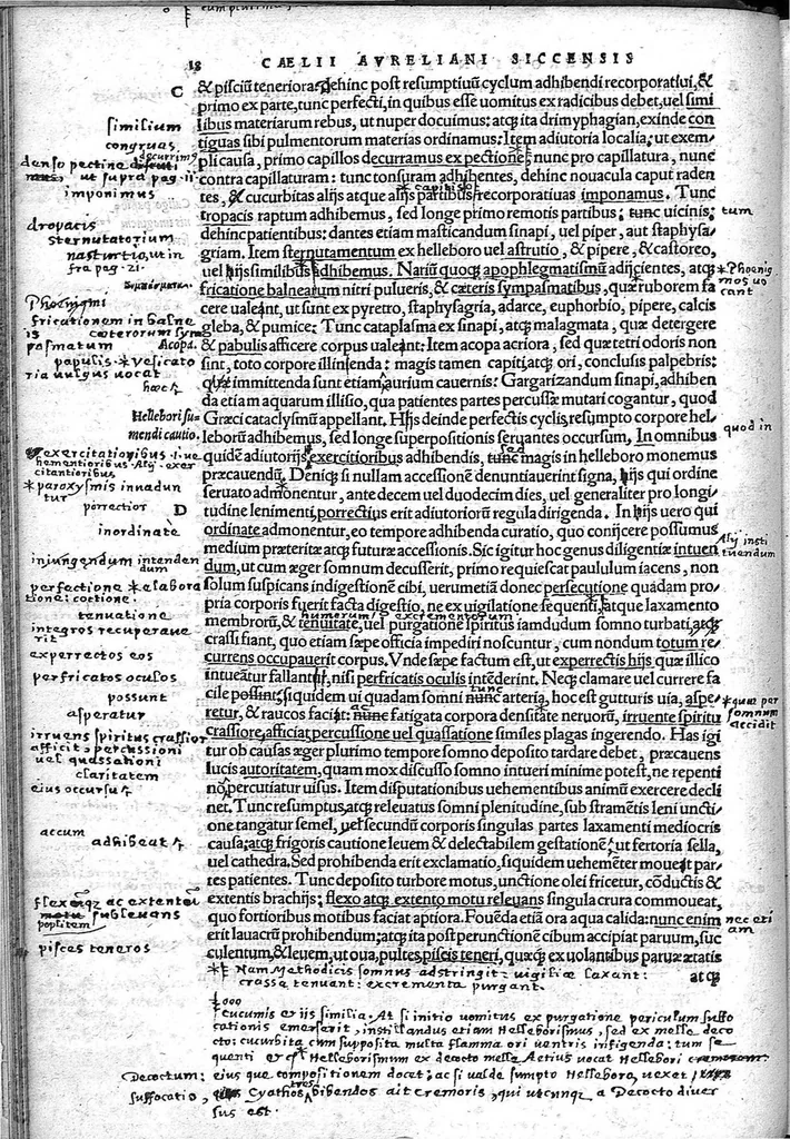 An illustration from Caelii Aureliani siccensis tardarum passionum libri V / Oribasii euporiston libri III, medicinae compendium liber I, curationum liber I, trochiscorum confect liber I, 1529, leaf 43
