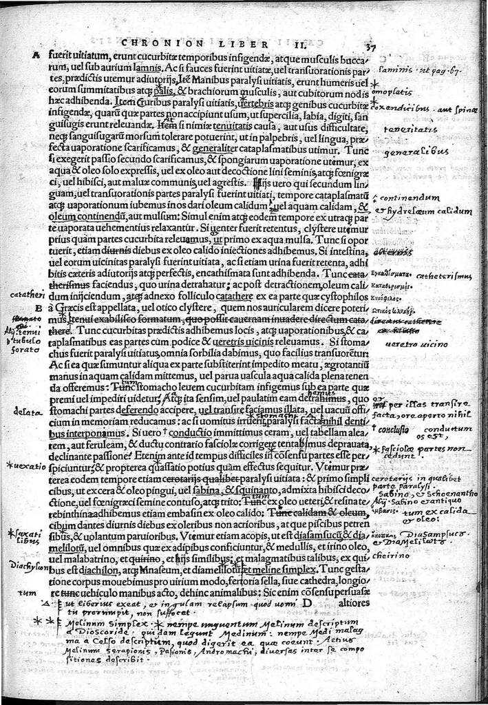 An illustration from Caelii Aureliani siccensis tardarum passionum libri V / Oribasii euporiston libri III, medicinae compendium liber I, curationum liber I, trochiscorum confect liber I, 1529, leaf 62