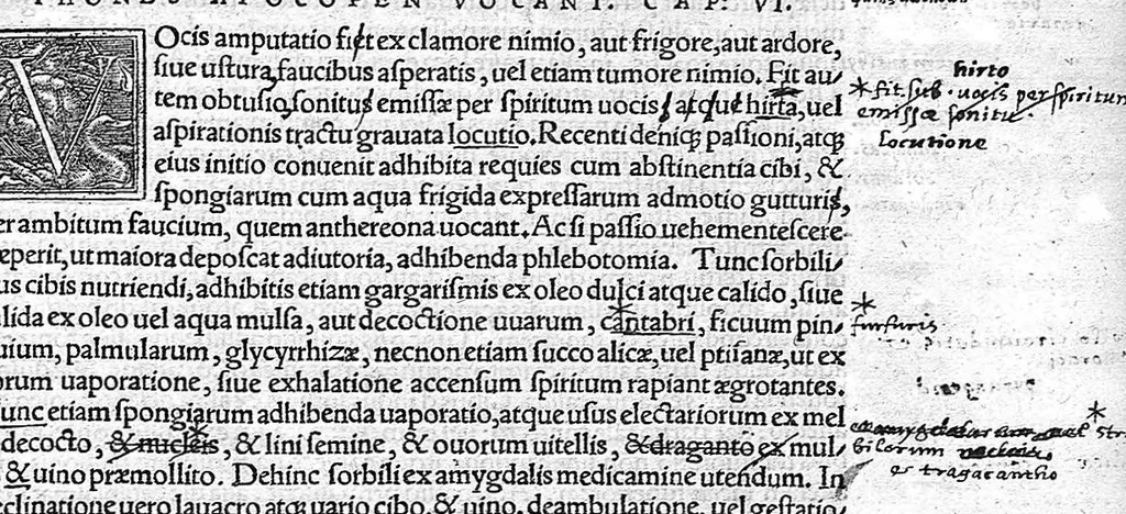 An illustration from Caelii Aureliani siccensis tardarum passionum libri V / Oribasii euporiston libri III, medicinae compendium liber I, curationum liber I, trochiscorum confect liber I, 1529, leaf 74