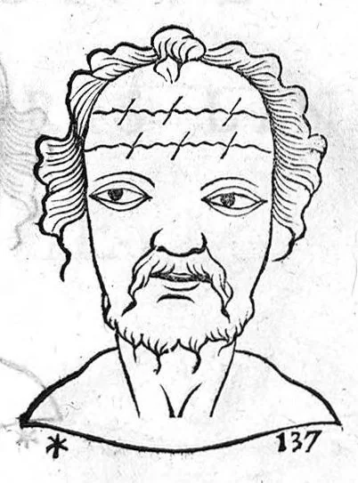 An illustration from Metoposcopia liber tredecim, et octingentis faciei humanae eiconibus complexa : cui accessit melampodis de naevis corporis tractatus, graece et latine nunc primum editus, 1658, leaf 100