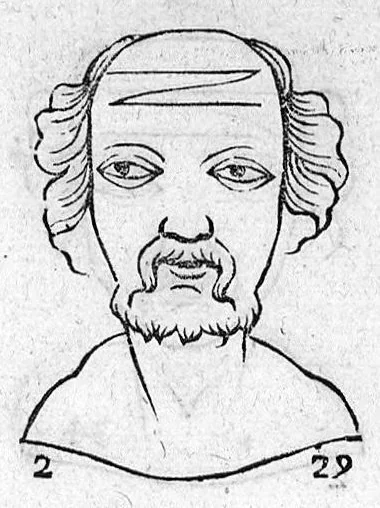An illustration from Metoposcopia liber tredecim, et octingentis faciei humanae eiconibus complexa : cui accessit melampodis de naevis corporis tractatus, graece et latine nunc primum editus, 1658, leaf 166