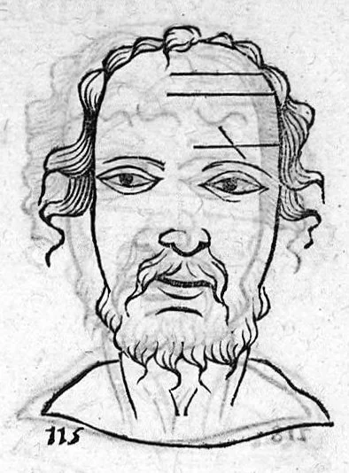 An illustration from Metoposcopia liber tredecim, et octingentis faciei humanae eiconibus complexa : cui accessit melampodis de naevis corporis tractatus, graece et latine nunc primum editus, 1658, leaf 46