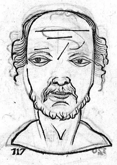 An illustration from Metoposcopia liber tredecim, et octingentis faciei humanae eiconibus complexa : cui accessit melampodis de naevis corporis tractatus, graece et latine nunc primum editus, 1658, leaf 46