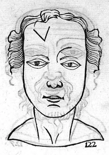 An illustration from Metoposcopia liber tredecim, et octingentis faciei humanae eiconibus complexa : cui accessit melampodis de naevis corporis tractatus, graece et latine nunc primum editus, 1658, leaf 48