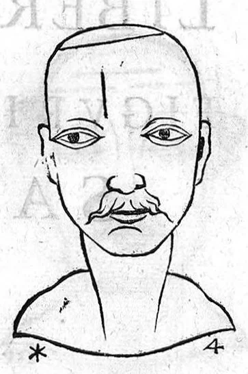 An illustration from Metoposcopia liber tredecim, et octingentis faciei humanae eiconibus complexa : cui accessit melampodis de naevis corporis tractatus, graece et latine nunc primum editus, 1658, leaf 57