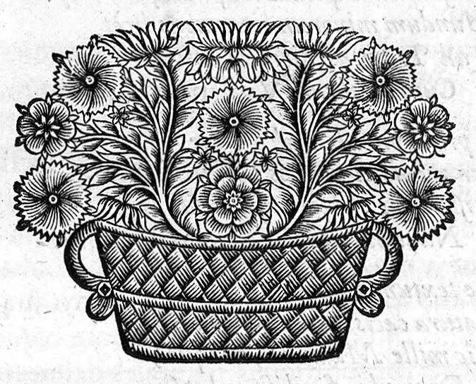 An illustration from Raymundi Vieussens doctoris medici Monspeliensis Nevrographia universalis. Hoc est, omnium corporis humani nervorum, simul & cerebri, medullæque spinalis descriptio anatomica; Eaque integra et accurata, variis Iconibus fideliter & ad vivum delineatis, æréque incisis illustrata: Cum ipsorum actione et usu, Physico discursu explicatis. Editio nova, 1684, leaf 15