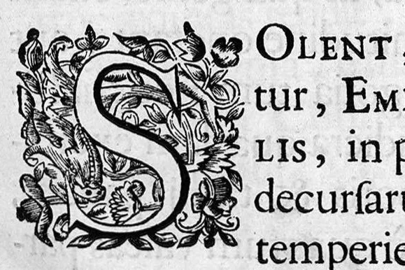 An illustration from Raymundi Vieussens doctoris medici Monspeliensis Nevrographia universalis. Hoc est, omnium corporis humani nervorum, simul & cerebri, medullæque spinalis descriptio anatomica; Eaque integra et accurata, variis Iconibus fideliter & ad vivum delineatis, æréque incisis illustrata: Cum ipsorum actione et usu, Physico discursu explicatis. Editio nova, 1684, leaf 9