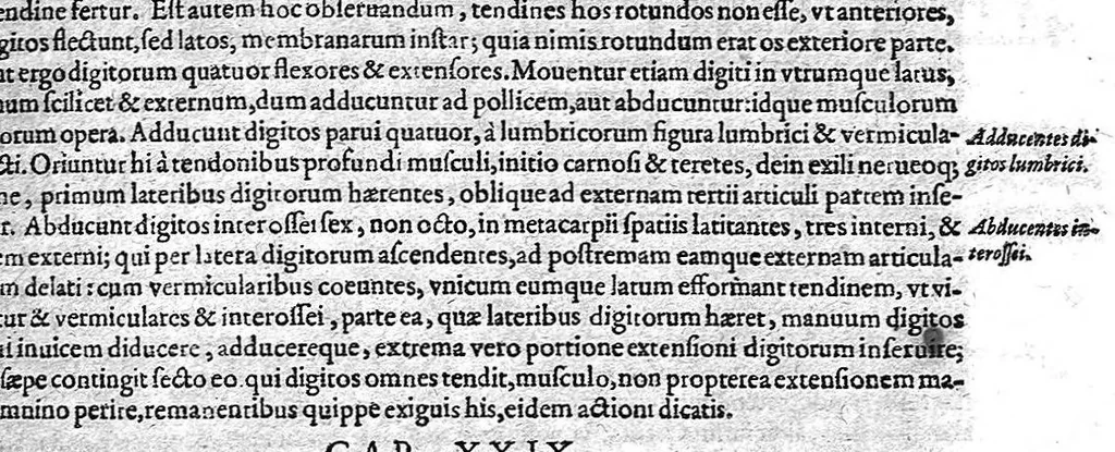 An illustration from Historia anatomica humani corporis et singularum ejus partium multis controversiis et observationibus novis, 1627, leaf 156