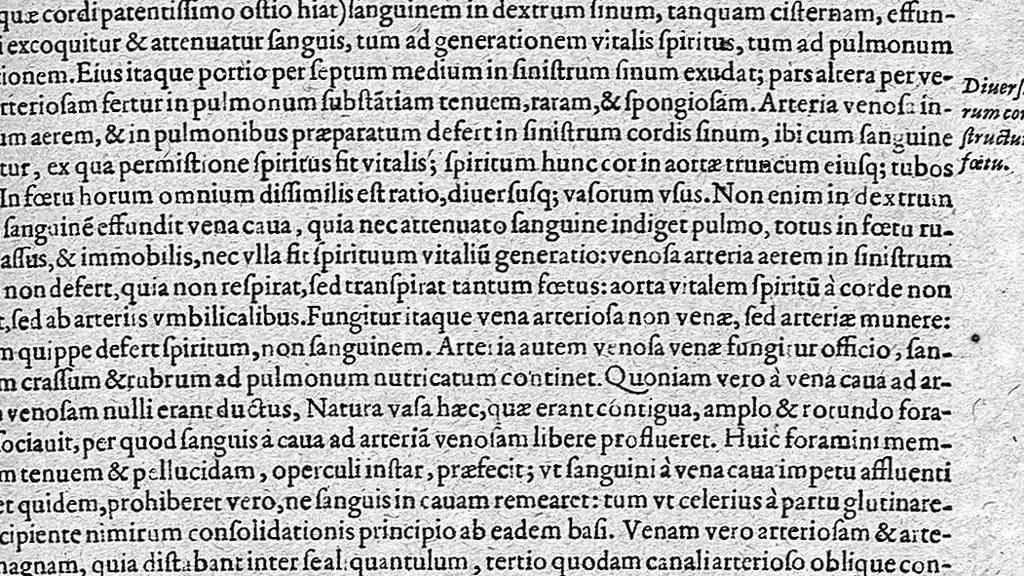 An illustration from Historia anatomica humani corporis et singularum ejus partium multis controversiis et observationibus novis, 1627, leaf 332