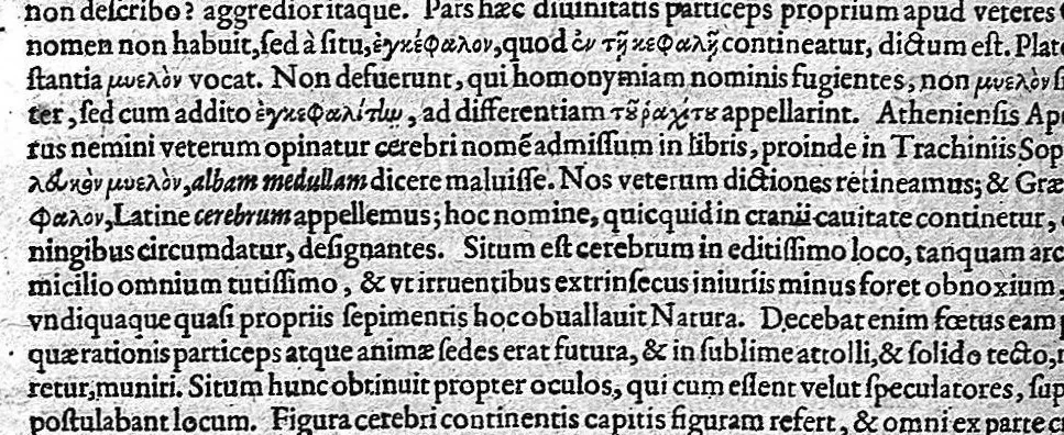 An illustration from Historia anatomica humani corporis et singularum ejus partium multis controversiis et observationibus novis, 1627, leaf 403