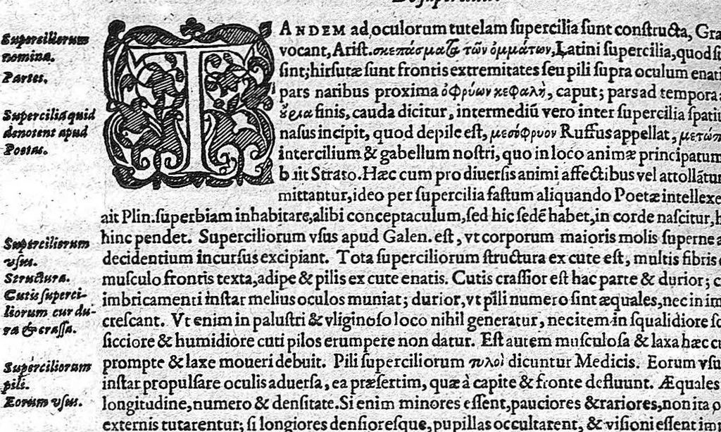 An illustration from Historia anatomica humani corporis et singularum ejus partium multis controversiis et observationibus novis, 1627, leaf 433