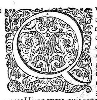 An illustration from Historia anatomica humani corporis et singularum ejus partium multis controversiis et observationibus novis, 1627, leaf 51