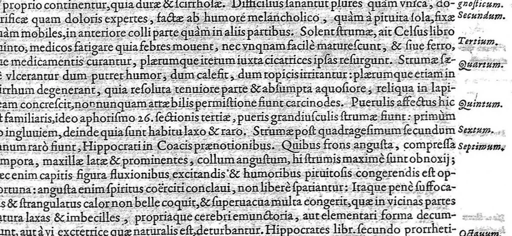 An illustration from Opera Therapeutica : Nimirum I. Tractatus de Crisibus. II. Tractatus de mirabili strumas sanandi vi, solis Galliæ Regibus diuinitus concessa. III. Tractatus de nobilitate visius, eiusq[ue] conservatione. IV. De Melancholia libri II. V. Tractatus de Senectute. VI. De morbo articulari tractatus. VII. De Lepra tractatus. VIII. Tractatus de lue Venerea, 1627, leaf 108