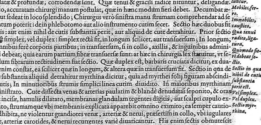 An illustration from Opera Therapeutica : Nimirum I. Tractatus de Crisibus. II. Tractatus de mirabili strumas sanandi vi, solis Galliæ Regibus diuinitus concessa. III. Tractatus de nobilitate visius, eiusq[ue] conservatione. IV. De Melancholia libri II. V. Tractatus de Senectute. VI. De morbo articulari tractatus. VII. De Lepra tractatus. VIII. Tractatus de lue Venerea, 1627, leaf 116