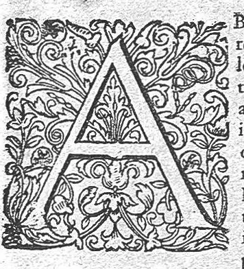 An illustration from Opera Therapeutica : Nimirum I. Tractatus de Crisibus. II. Tractatus de mirabili strumas sanandi vi, solis Galliæ Regibus diuinitus concessa. III. Tractatus de nobilitate visius, eiusq[ue] conservatione. IV. De Melancholia libri II. V. Tractatus de Senectute. VI. De morbo articulari tractatus. VII. De Lepra tractatus. VIII. Tractatus de lue Venerea, 1627, leaf 148