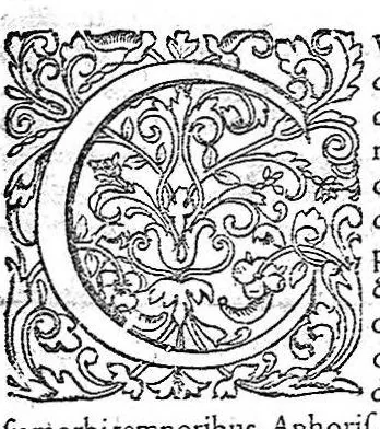 An illustration from Opera Therapeutica : Nimirum I. Tractatus de Crisibus. II. Tractatus de mirabili strumas sanandi vi, solis Galliæ Regibus diuinitus concessa. III. Tractatus de nobilitate visius, eiusq[ue] conservatione. IV. De Melancholia libri II. V. Tractatus de Senectute. VI. De morbo articulari tractatus. VII. De Lepra tractatus. VIII. Tractatus de lue Venerea, 1627, leaf 8