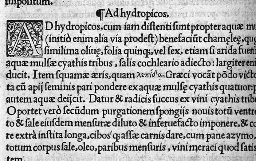 An illustration from Scribonii Largi de Compositionibus medicamentorum Liber unus, antehac nusquam excusus : Joanne Ruellio, doctore medico castigatore., 1528, leaf 49