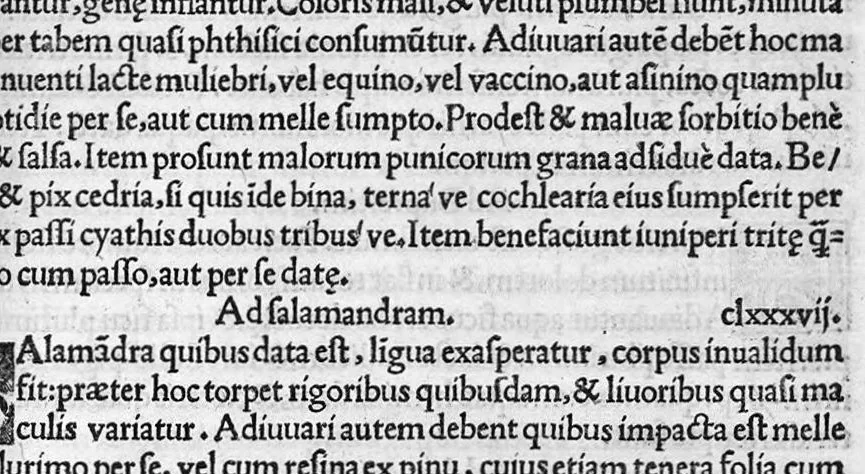An illustration from Scribonii Largi de Compositionibus medicamentorum Liber unus, antehac nusquam excusus : Joanne Ruellio, doctore medico castigatore., 1528, leaf 62