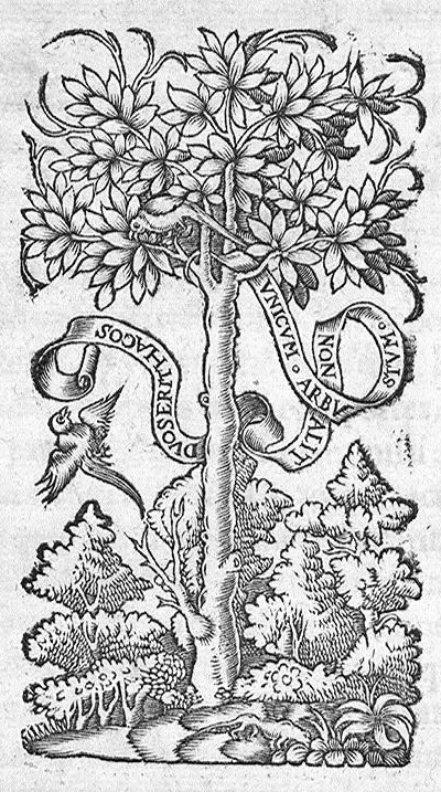 An illustration from Scribonii Largi de Compositionibus medicamentorum Liber unus, antehac nusquam excusus : Joanne Ruellio, doctore medico castigatore., 1528, leaf 91