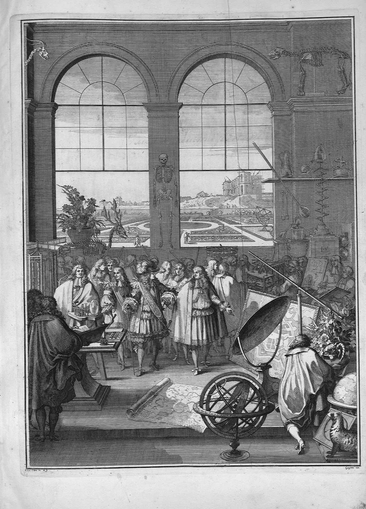 An illustration from Mémoires pour servir à l'histoire des plantes, 1686, leaf 0
