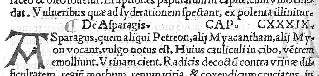 An illustration from Pedacii Dioscoridis Anazarbei de medicinali materia libri quinque De virulentis animalibus, et venenis canerabioso, et corum notis, ac remediis libri quattuor. Joanne Ruellio Suessionensi interprete, 1516, leaf 115