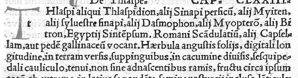 An illustration from Pedacii Dioscoridis Anazarbei de medicinali materia libri quinque De virulentis animalibus, et venenis canerabioso, et corum notis, ac remediis libri quattuor. Joanne Ruellio Suessionensi interprete, 1516, leaf 124