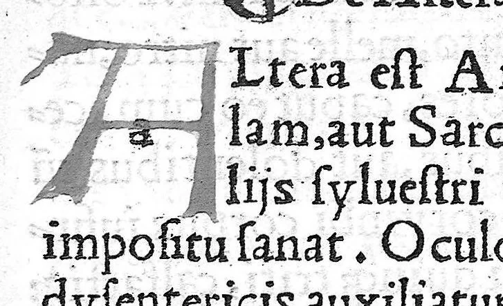 An illustration from Pedacii Dioscoridis Anazarbei de medicinali materia libri quinque De virulentis animalibus, et venenis canerabioso, et corum notis, ac remediis libri quattuor. Joanne Ruellio Suessionensi interprete, 1516, leaf 134