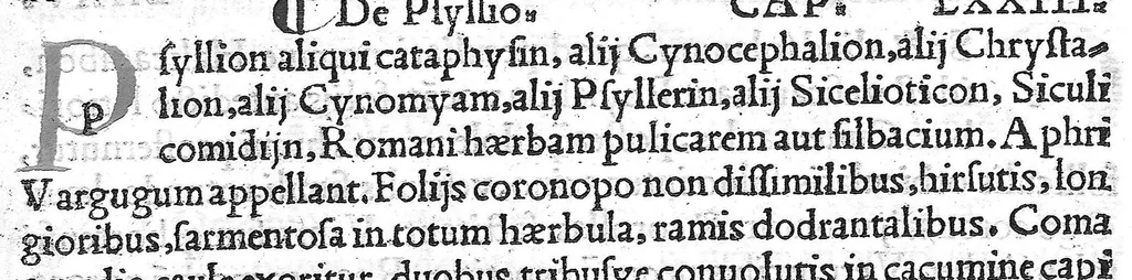 An illustration from Pedacii Dioscoridis Anazarbei de medicinali materia libri quinque De virulentis animalibus, et venenis canerabioso, et corum notis, ac remediis libri quattuor. Joanne Ruellio Suessionensi interprete, 1516, leaf 214