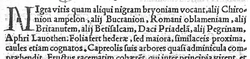 An illustration from Pedacii Dioscoridis Anazarbei de medicinali materia libri quinque De virulentis animalibus, et venenis canerabioso, et corum notis, ac remediis libri quattuor. Joanne Ruellio Suessionensi interprete, 1516, leaf 250