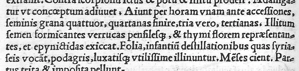 An illustration from Pedacii Dioscoridis Anazarbei de medicinali materia libri quinque De virulentis animalibus, et venenis canerabioso, et corum notis, ac remediis libri quattuor. Joanne Ruellio Suessionensi interprete, 1516, leaf 253