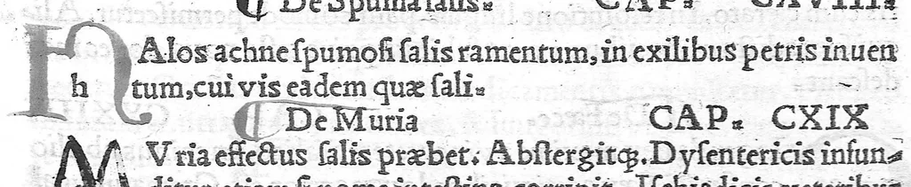 An illustration from Pedacii Dioscoridis Anazarbei de medicinali materia libri quinque De virulentis animalibus, et venenis canerabioso, et corum notis, ac remediis libri quattuor. Joanne Ruellio Suessionensi interprete, 1516, leaf 290