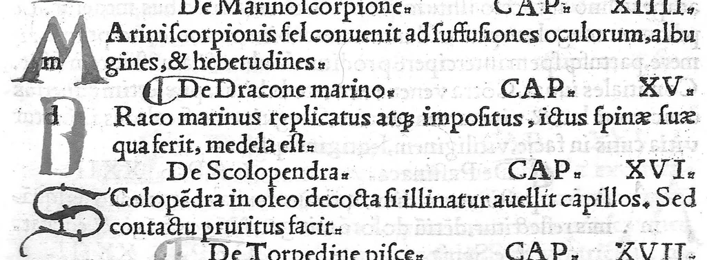 An illustration from Pedacii Dioscoridis Anazarbei de medicinali materia libri quinque De virulentis animalibus, et venenis canerabioso, et corum notis, ac remediis libri quattuor. Joanne Ruellio Suessionensi interprete, 1516, leaf 82
