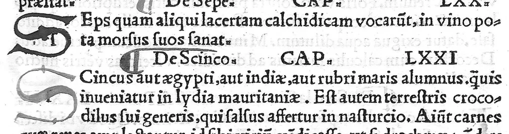 An illustration from Pedacii Dioscoridis Anazarbei de medicinali materia libri quinque De virulentis animalibus, et venenis canerabioso, et corum notis, ac remediis libri quattuor. Joanne Ruellio Suessionensi interprete, 1516, leaf 90