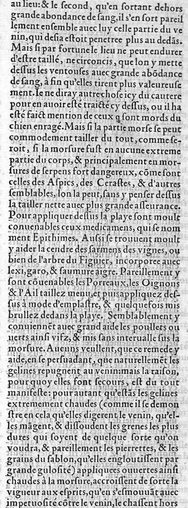 An illustration from Les six livres de Pedarion Dioscoride d’Anazarbe de la matiere medicale, translatez de Latin en François. A chacun Chapitre sont adjoustees certaines annotations fort doctes, et recueillies des plus excellens Medecins, anciens et modernes, 1553, leaf 396