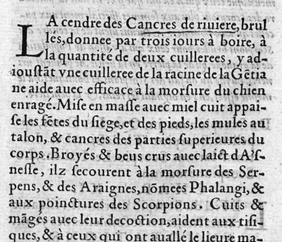 An illustration from Les six livres de Pedarion Dioscoride d’Anazarbe de la matiere medicale, translatez de Latin en François. A chacun Chapitre sont adjoustees certaines annotations fort doctes, et recueillies des plus excellens Medecins, anciens et modernes, 1553, leaf 96