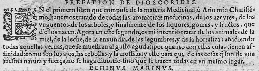 An illustration from Pedacio Dioscorides Anazarbeo, acerca de la materia medicinal, y de los venenos mortiferos, traduzido de lengua griega en la vulgar castellana illustrado y con claras y substantiales annotationes, y con las figuras de innumeras plantas exquisitas y raras por el doctor Andres de Laguna, Medico de Julio III, Pont. Maxi., 1563, leaf 134