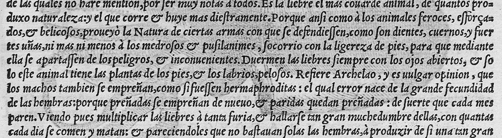 An illustration from Pedacio Dioscorides Anazarbeo, acerca de la materia medicinal, y de los venenos mortiferos, traduzido de lengua griega en la vulgar castellana illustrado y con claras y substantiales annotationes, y con las figuras de innumeras plantas exquisitas y raras por el doctor Andres de Laguna, Medico de Julio III, Pont. Maxi., 1563, leaf 146