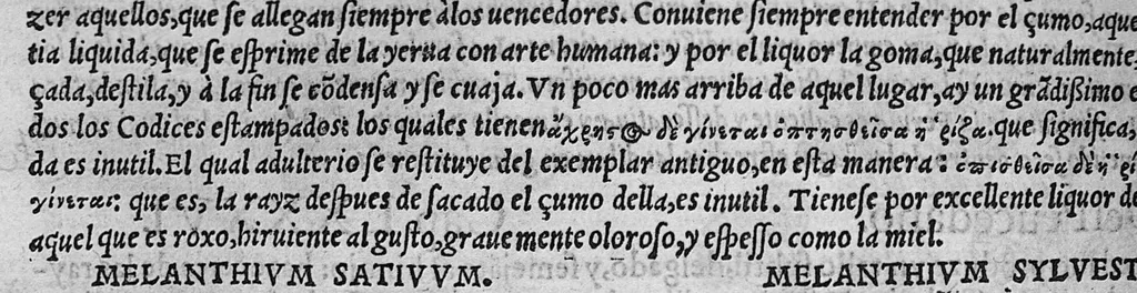 An illustration from Pedacio Dioscorides Anazarbeo, acerca de la materia medicinal, y de los venenos mortiferos, traduzido de lengua griega en la vulgar castellana illustrado y con claras y substantiales annotationes, y con las figuras de innumeras plantas exquisitas y raras por el doctor Andres de Laguna, Medico de Julio III, Pont. Maxi., 1563, leaf 335