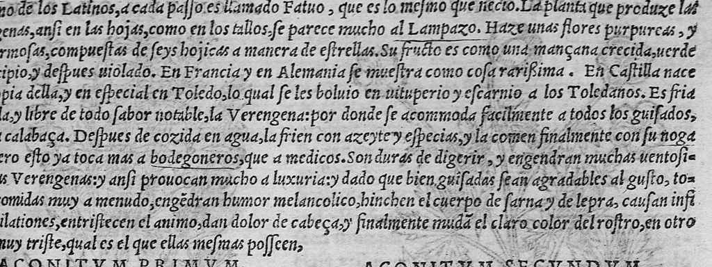 An illustration from Pedacio Dioscorides Anazarbeo, acerca de la materia medicinal, y de los venenos mortiferos, traduzido de lengua griega en la vulgar castellana illustrado y con claras y substantiales annotationes, y con las figuras de innumeras plantas exquisitas y raras por el doctor Andres de Laguna, Medico de Julio III, Pont. Maxi., 1563, leaf 436