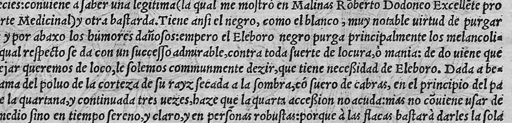 An illustration from Pedacio Dioscorides Anazarbeo, acerca de la materia medicinal, y de los venenos mortiferos, traduzido de lengua griega en la vulgar castellana illustrado y con claras y substantiales annotationes, y con las figuras de innumeras plantas exquisitas y raras por el doctor Andres de Laguna, Medico de Julio III, Pont. Maxi., 1563, leaf 478