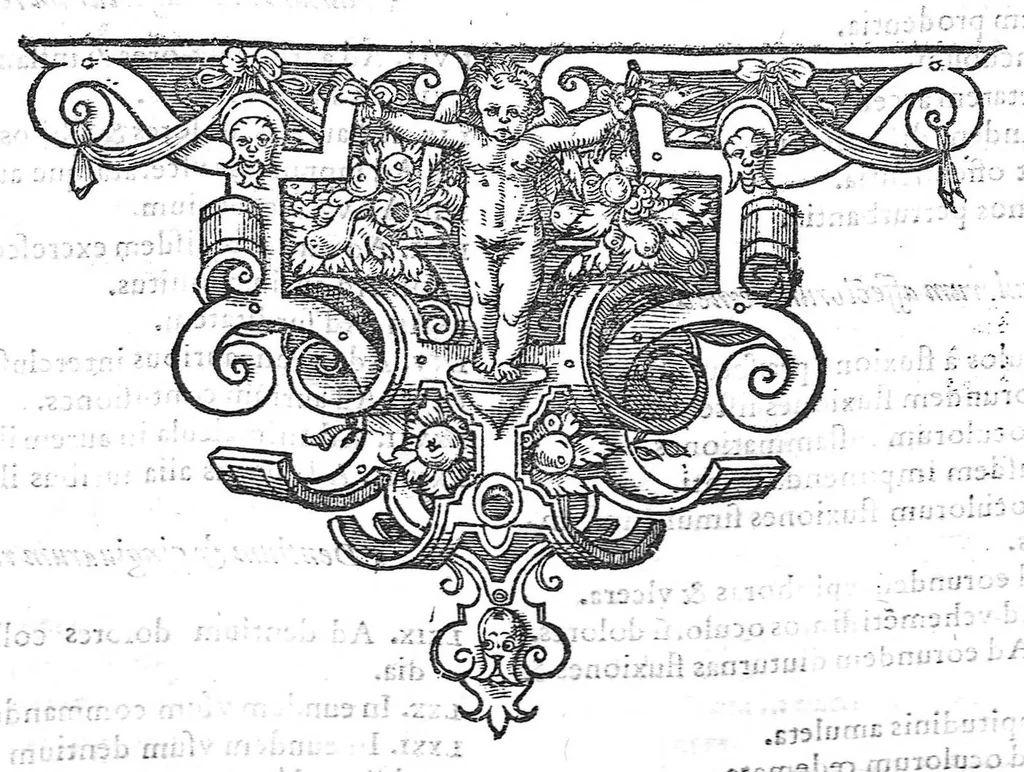 An illustration from Iani Antonii Saraceni lugdunaei scholia in Dioscoridis de materia medica libros V. et eiusdem de Venenis Lib. II. / Pedacii Dioscoridis Anazarbei de facile parabilibus tam simplicibus quam compositis medicamentis, ad Andromanchum libri duo, 1598, leaf 149