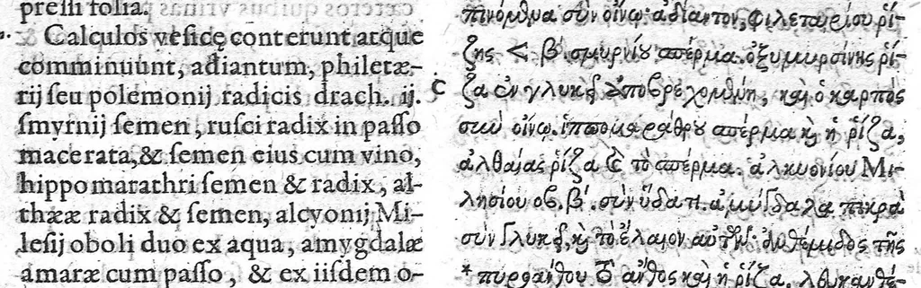 An illustration from Iani Antonii Saraceni lugdunaei scholia in Dioscoridis de materia medica libros V. et eiusdem de Venenis Lib. II. / Pedacii Dioscoridis Anazarbei de facile parabilibus tam simplicibus quam compositis medicamentis, ad Andromanchum libri duo, 1598, leaf 266
