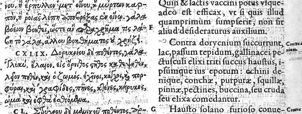 An illustration from Iani Antonii Saraceni lugdunaei scholia in Dioscoridis de materia medica libros V. et eiusdem de Venenis Lib. II. / Pedacii Dioscoridis Anazarbei de facile parabilibus tam simplicibus quam compositis medicamentis, ad Andromanchum libri duo, 1598, leaf 277